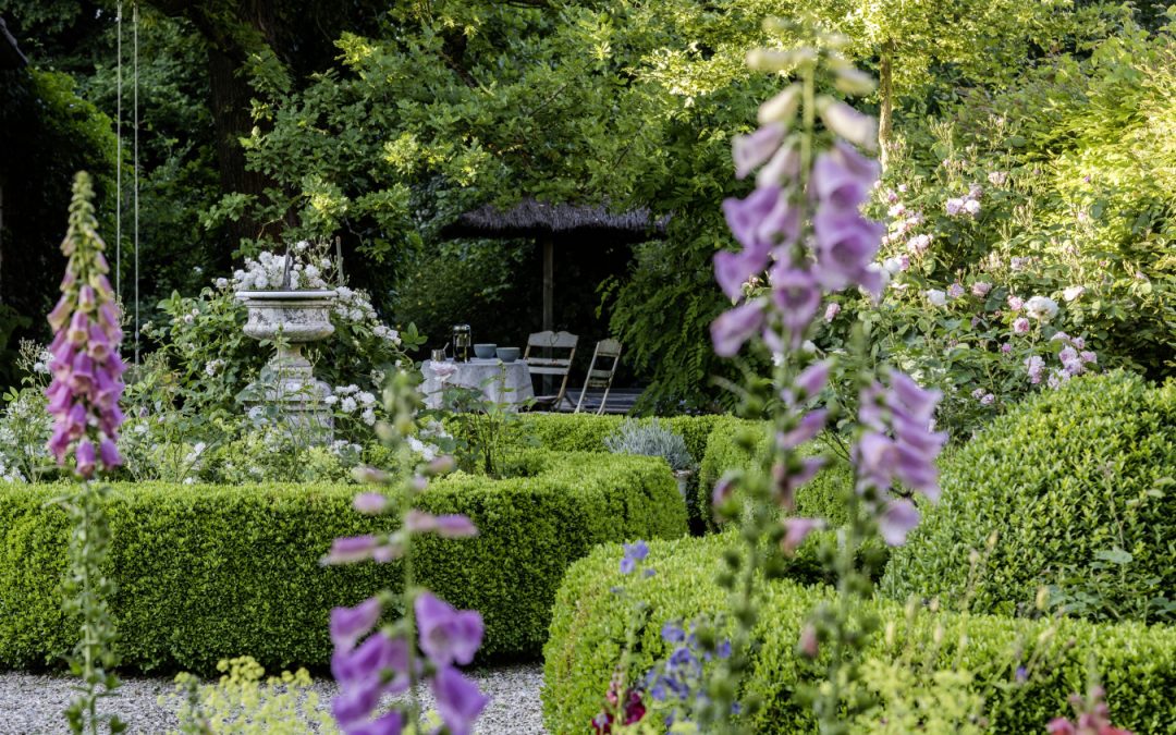 Briefe aus meinem Garten