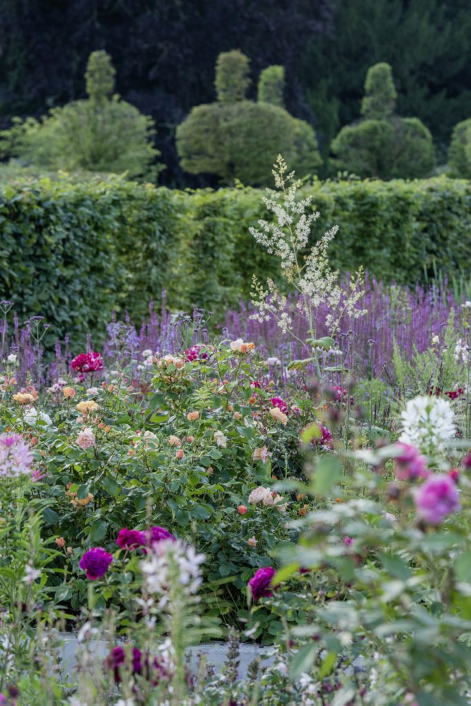 59+ Der Neue Rosen-Garten, Das ganze spektrum der rosenlust.